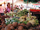 Shopping en Martinique : Sortir